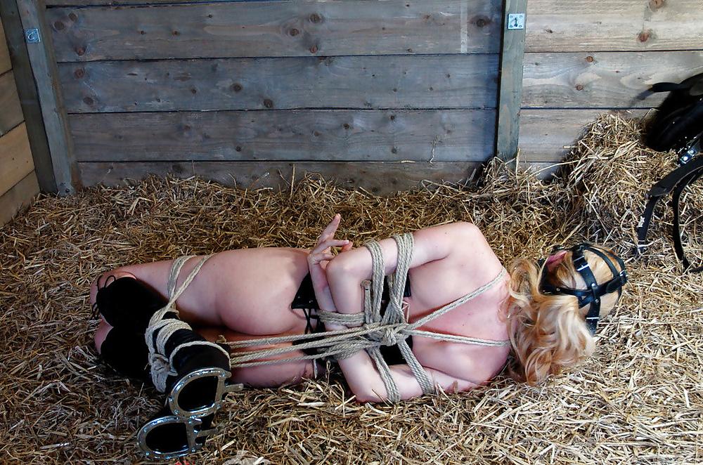 25P Bondage Girls in Alternative Situations #1