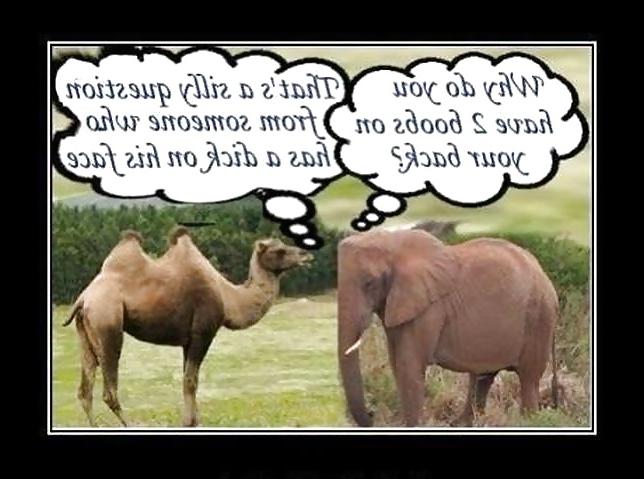 20P Funny pictures & Jokes