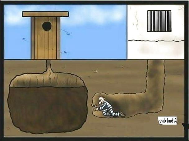20P Funny pictures & Jokes