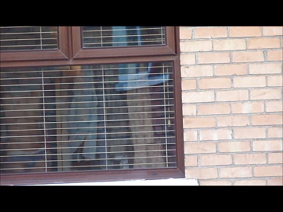 11P Neighbours voyeured 5