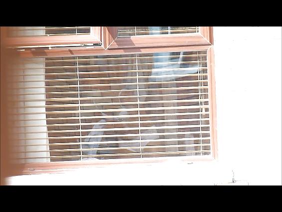 11P Neighbours voyeured 5