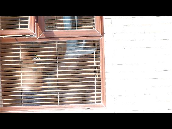 11P Neighbours voyeured 5