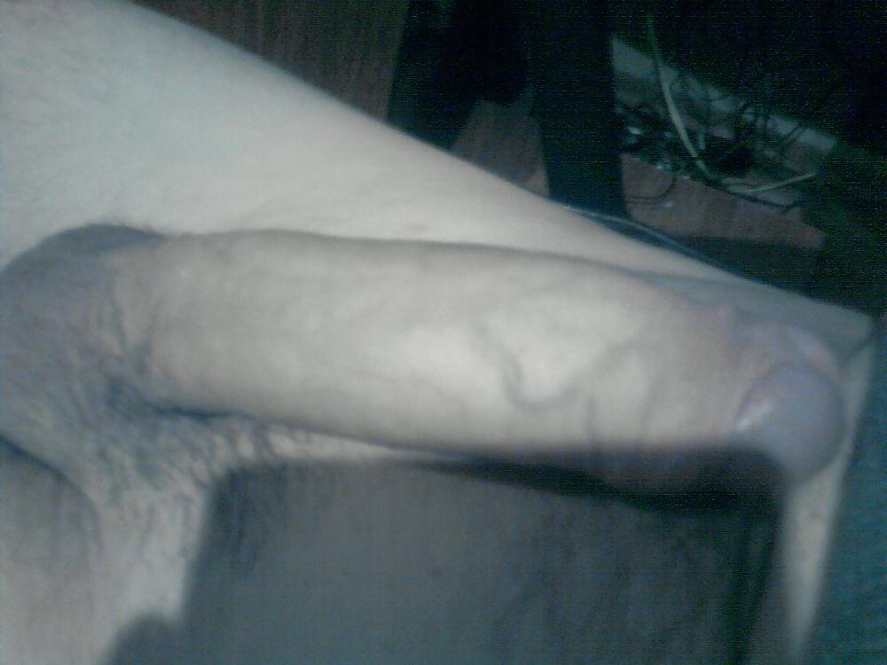 8P JUNIOR PENIS