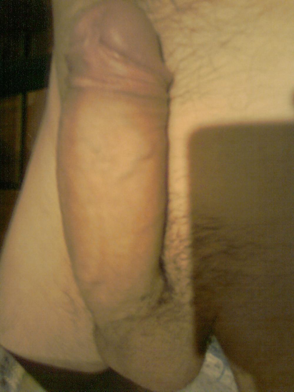 8P JUNIOR PENIS