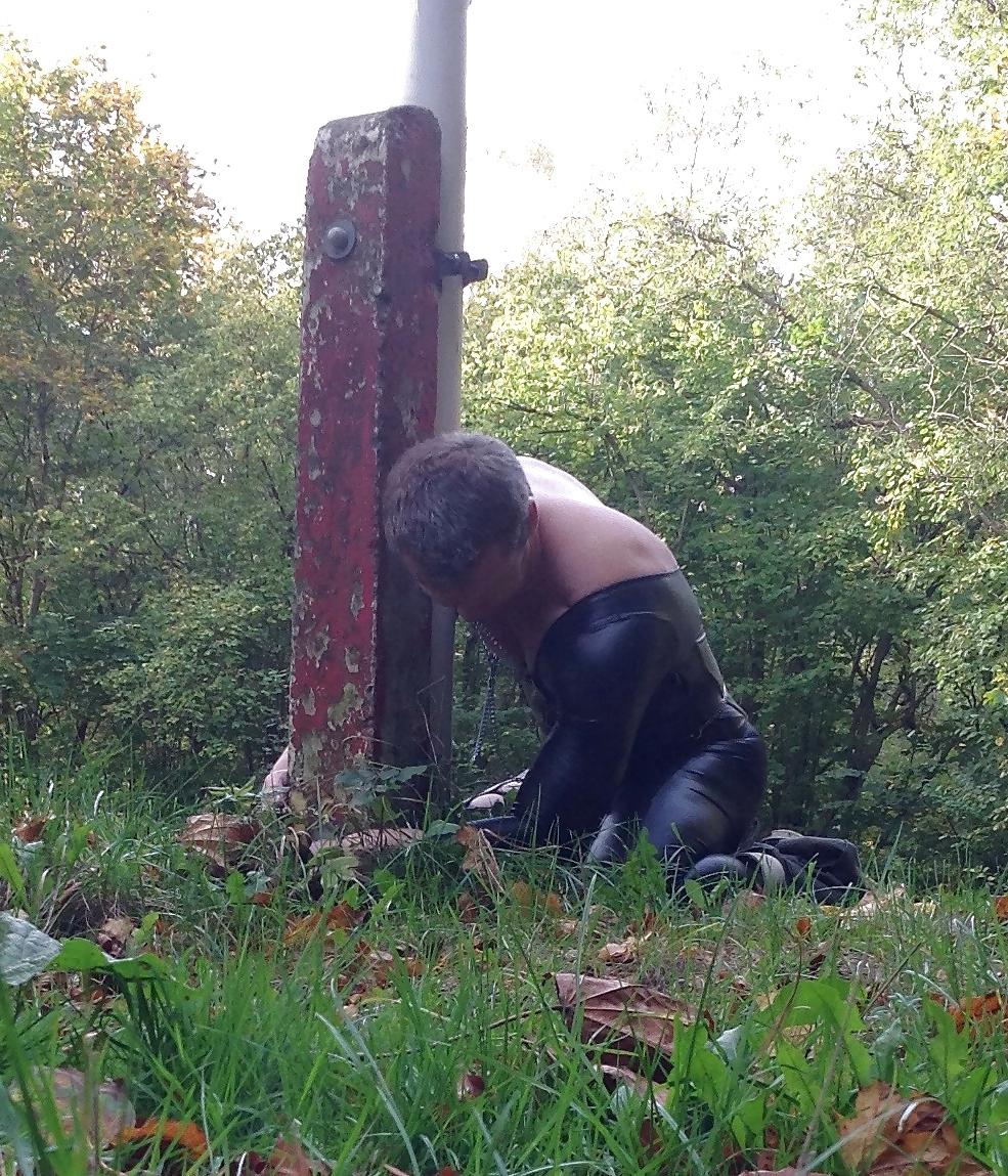 13P Slave training in the woods