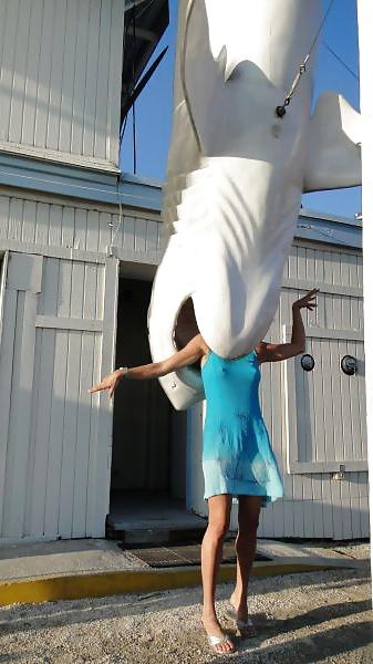 18P Funny Pics 7