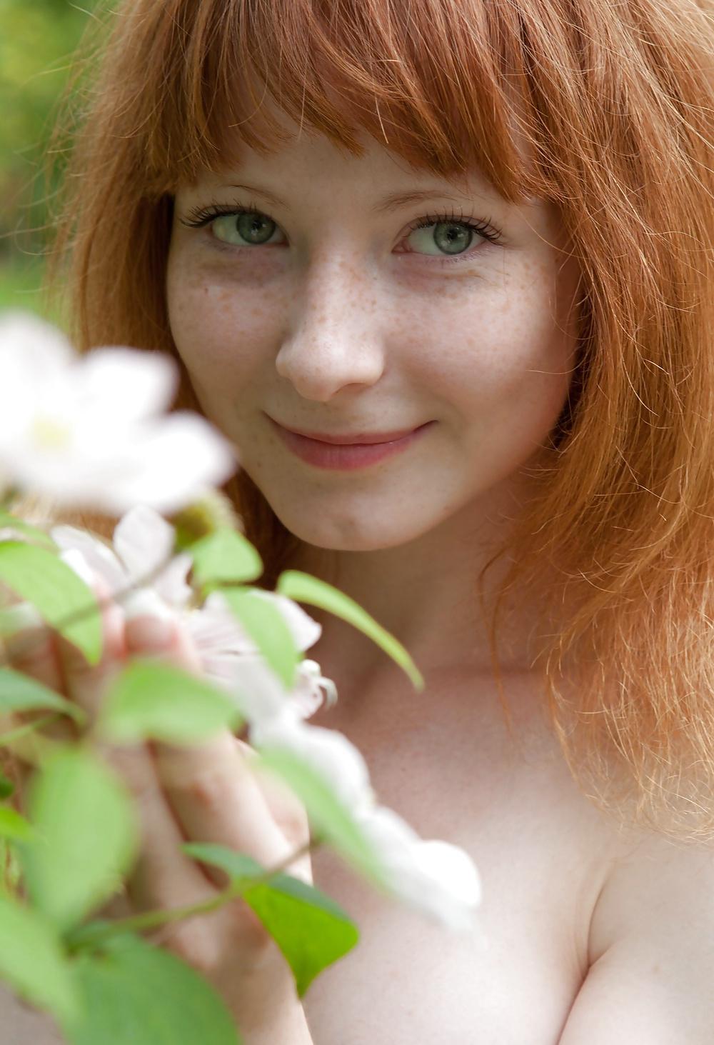 16P Dutch Redhead Maxim