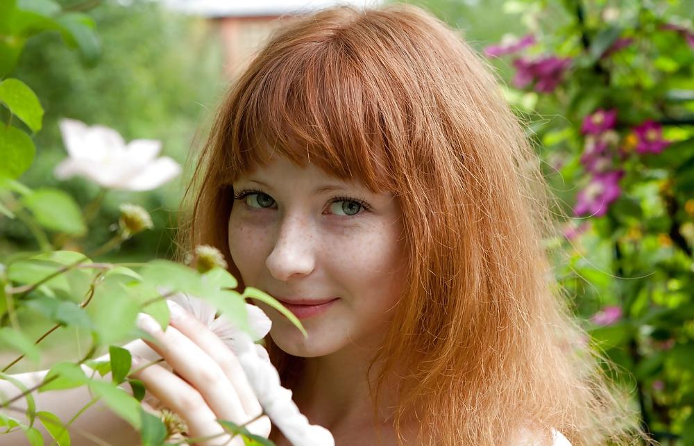 16P Dutch Redhead Maxim