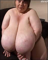 14P Biggest tits in the world 2