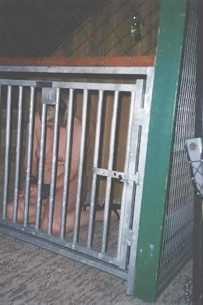 16P Cage