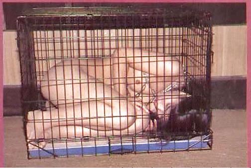 16P Cage