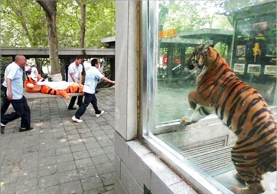 25P Funny Pics 6 verybigcandy
