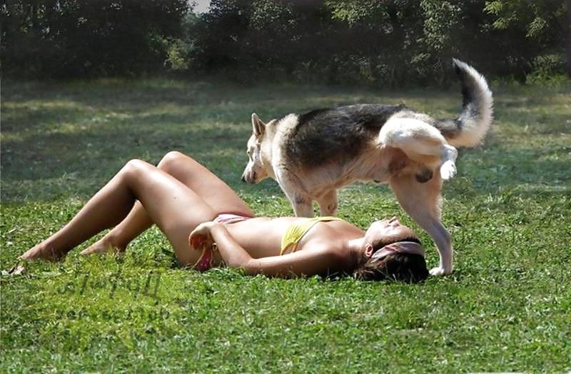 25P Funny Pics 6 verybigcandy