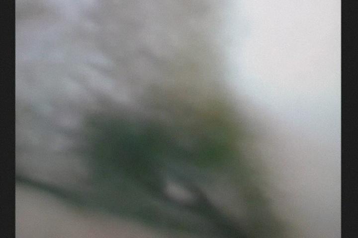 16P My hairy ex-wife pussy and butt