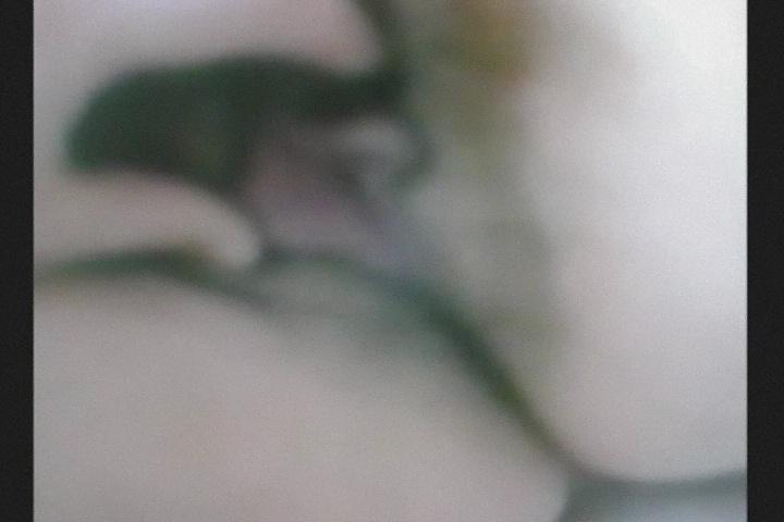 16P My hairy ex-wife pussy and butt