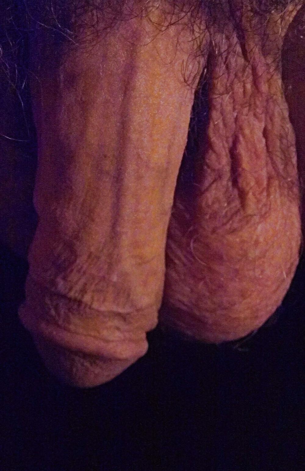 6P Penis & Testicles 3