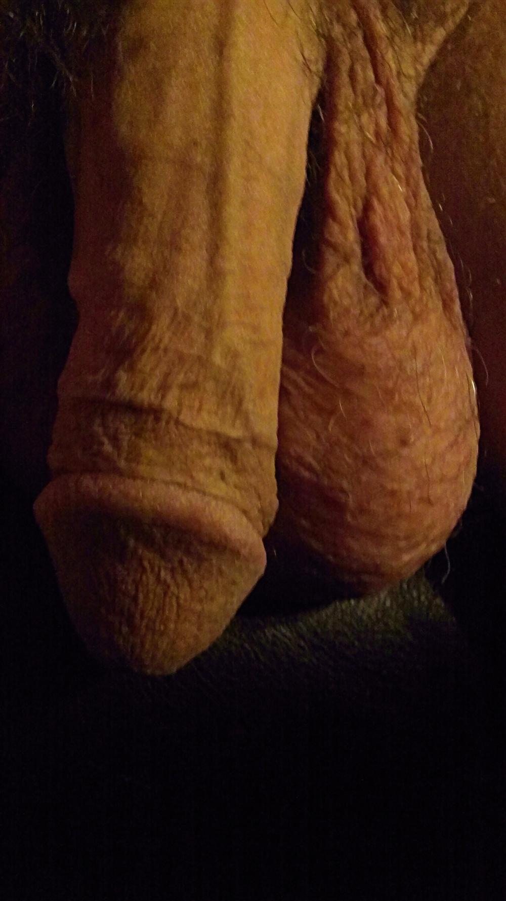 6P Penis & Testicles 3