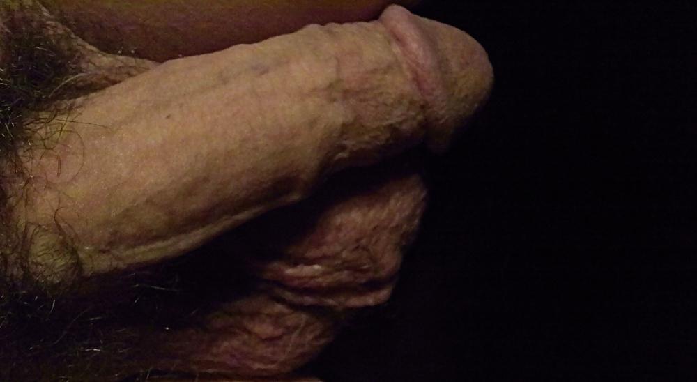 6P Penis & Testicles 3