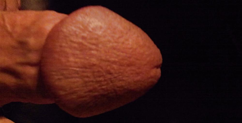 6P Penis & Testicles 3
