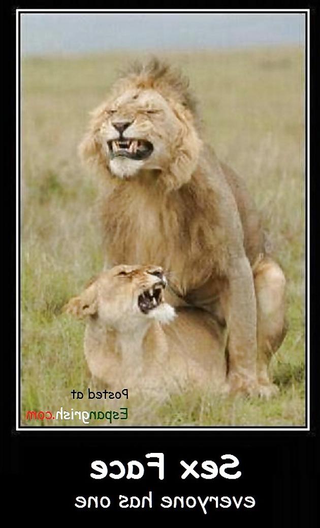 8P Lool funny