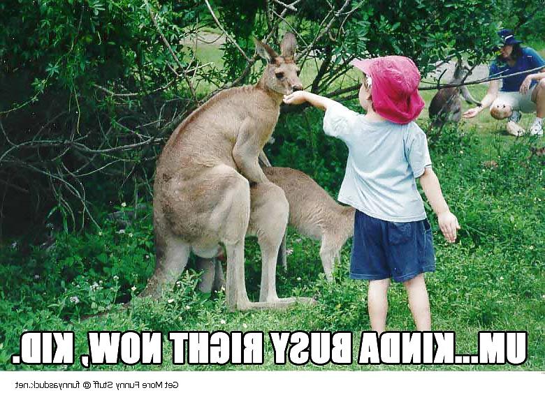 8P Lool funny