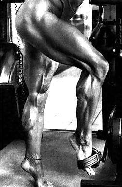 10P Yvonne McCoy - female bodybuilder