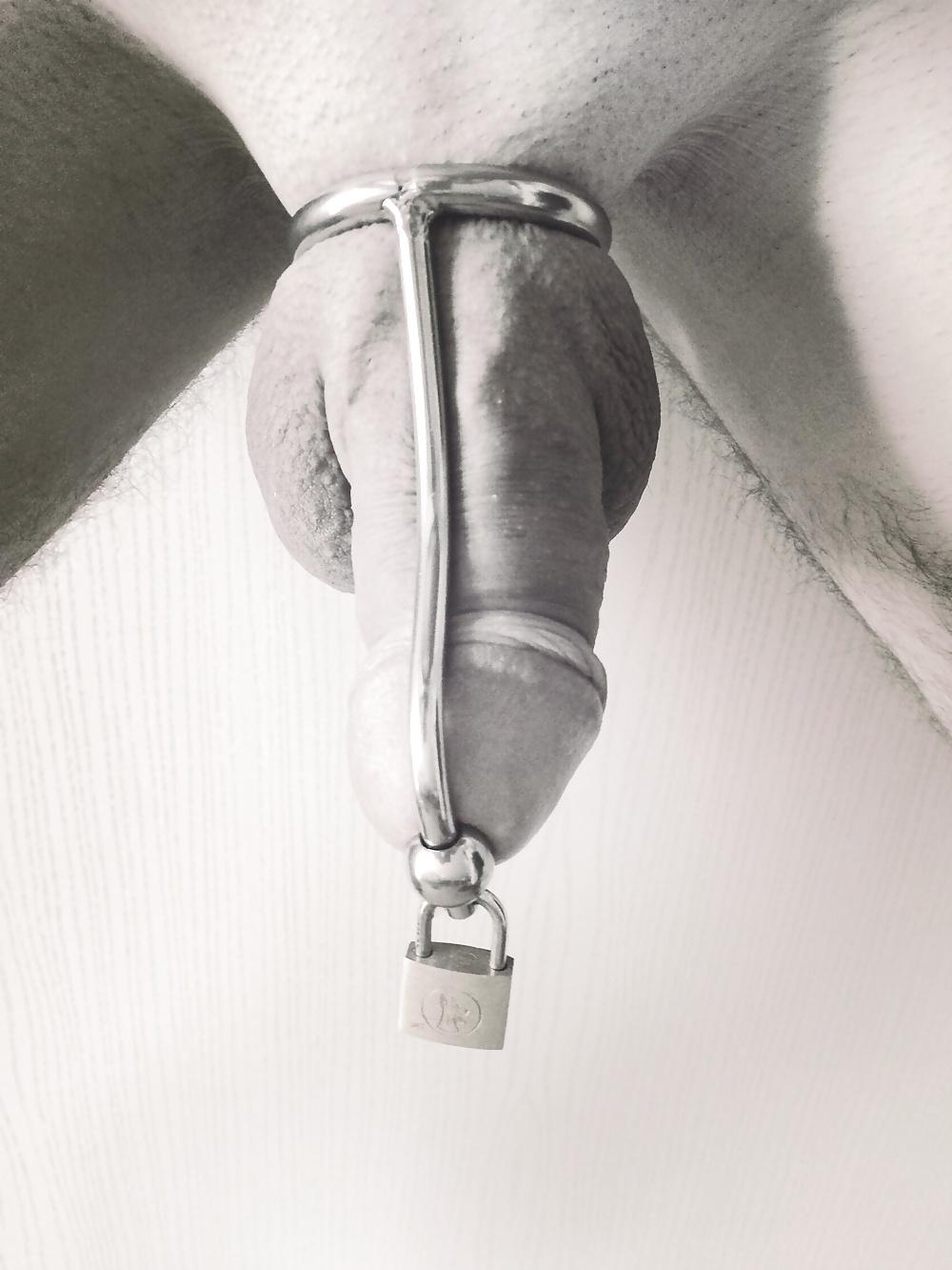 8P Locked cock cage