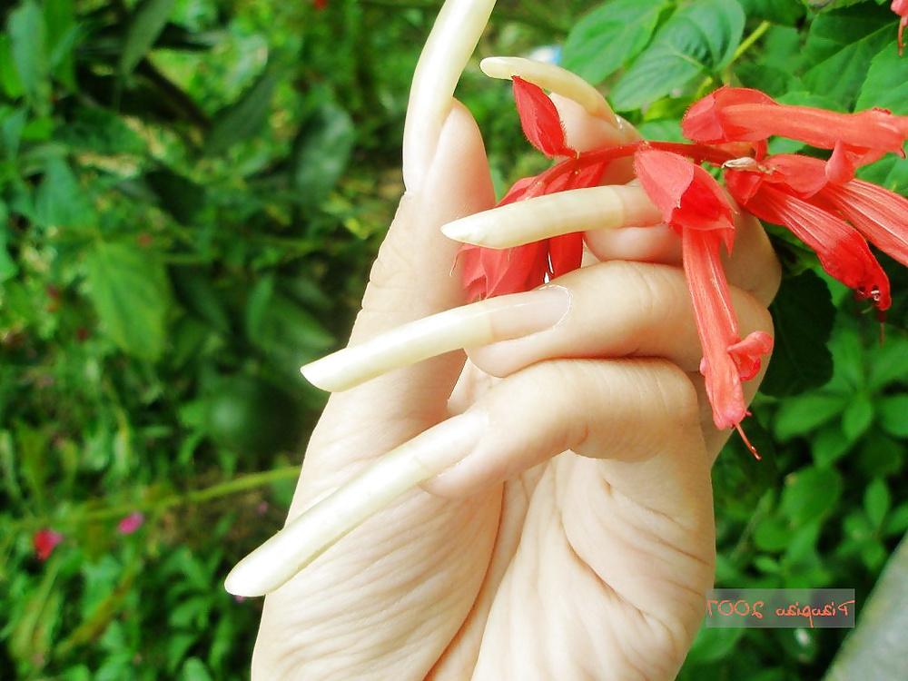 25P LONG FINGERNAILS  MIX 08.14