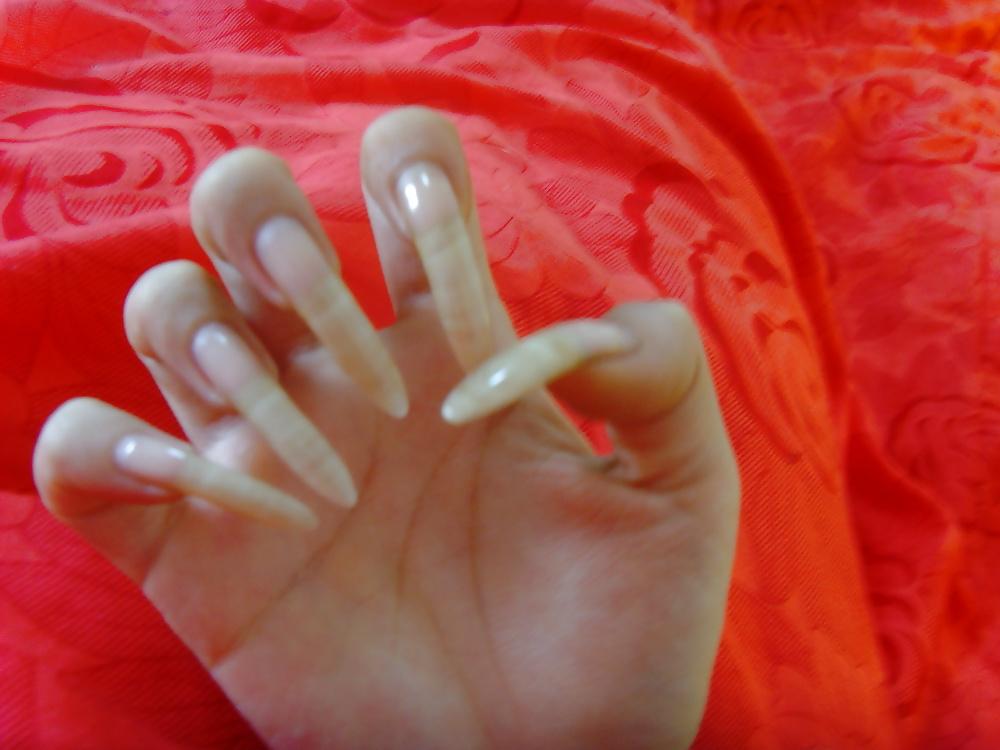 25P LONG FINGERNAILS  MIX 08.14