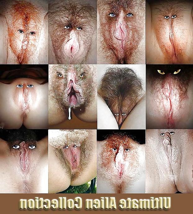 25P Funny Bilder