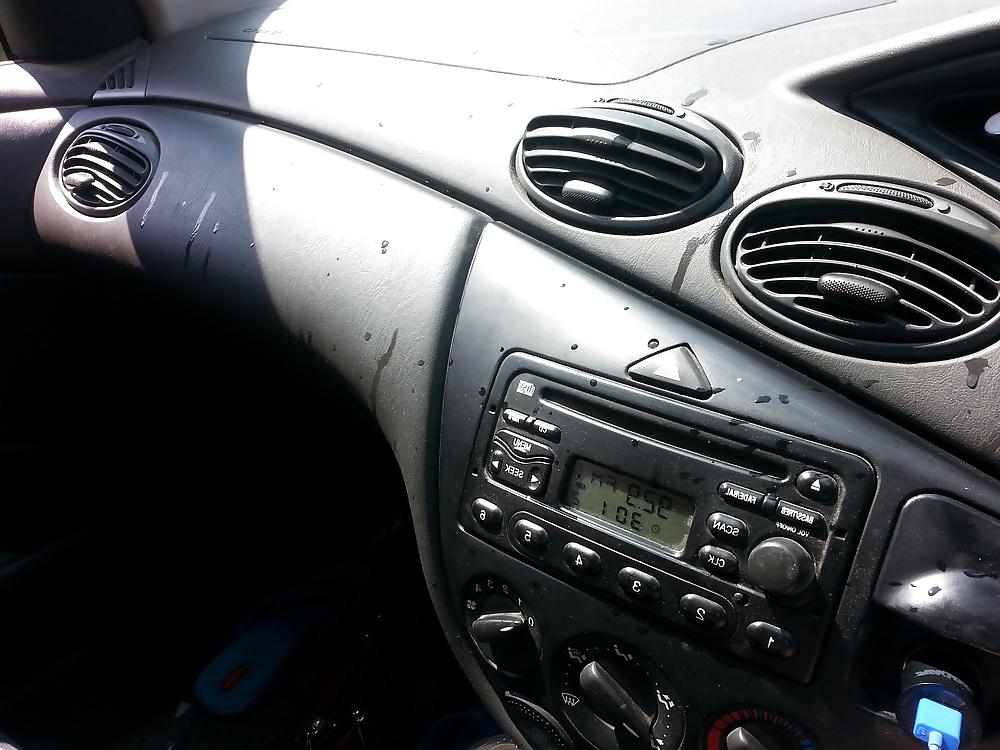4P Dogging 