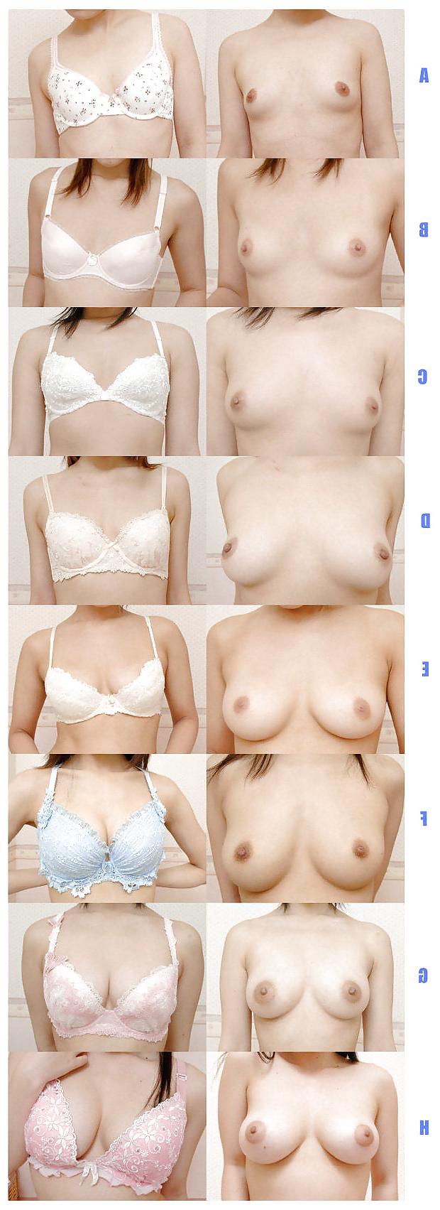 25P Breast Lovers Dream- Vixens 4