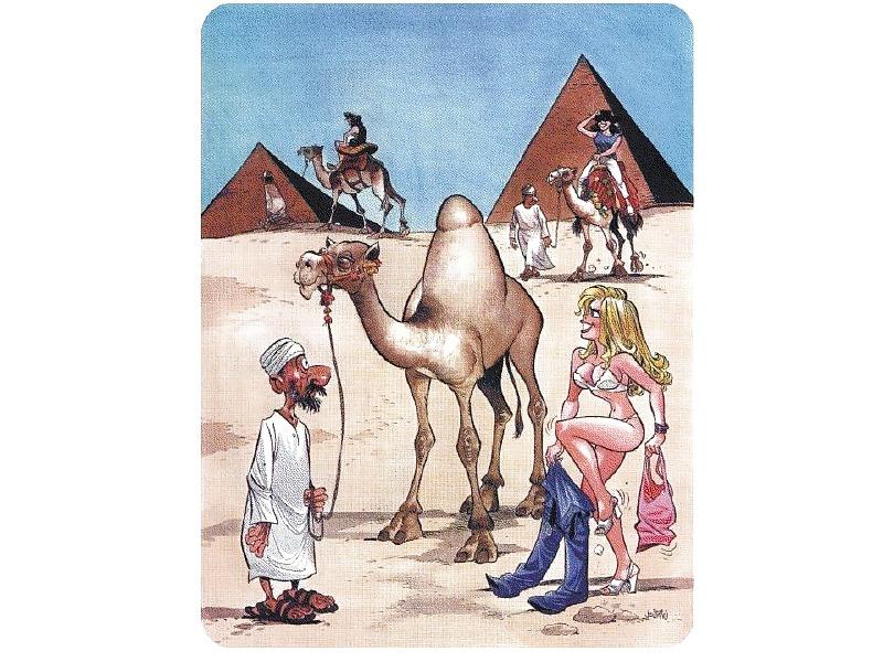 25P Funny & sexy cartoons