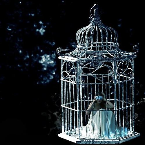 22P Cage 5!