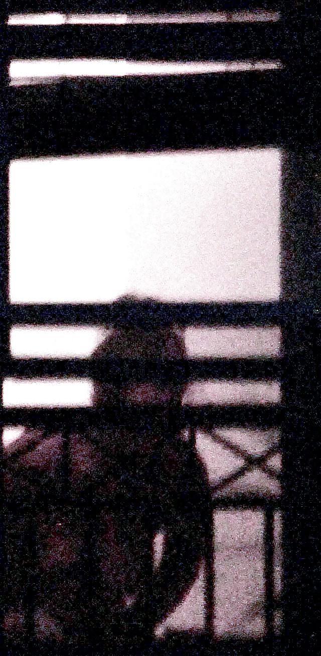 25P Spying on my neighbors