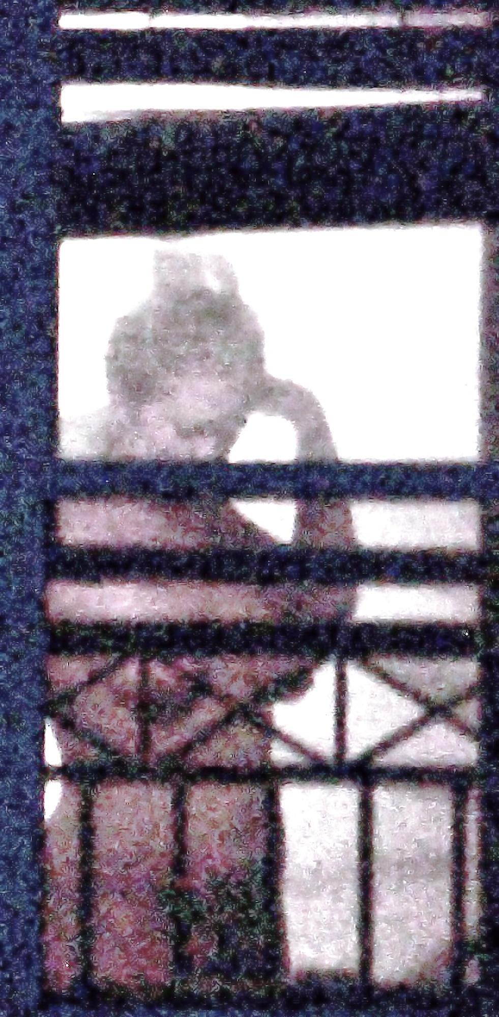 25P Spying on my neighbors