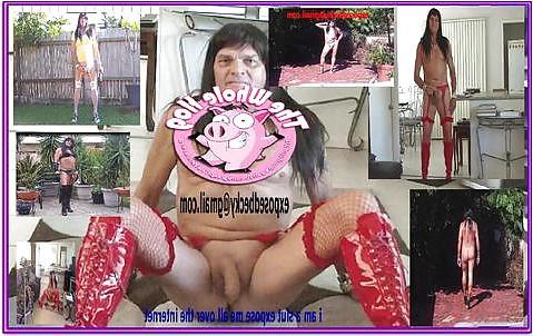 17P Sissy Sluts