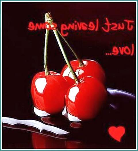 6P Humor for Lovers