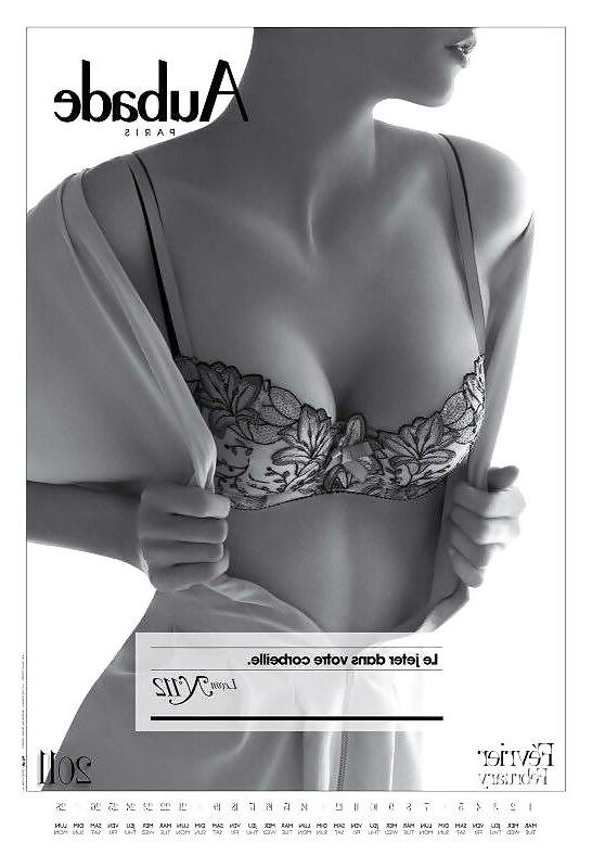 13P Erotic Calendar 14 - Lingerie-Calendar 2011