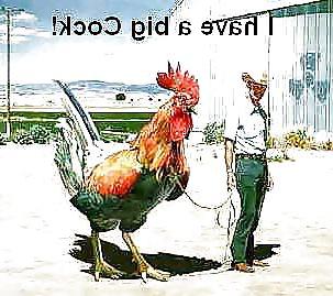 25P FUNNY PORN