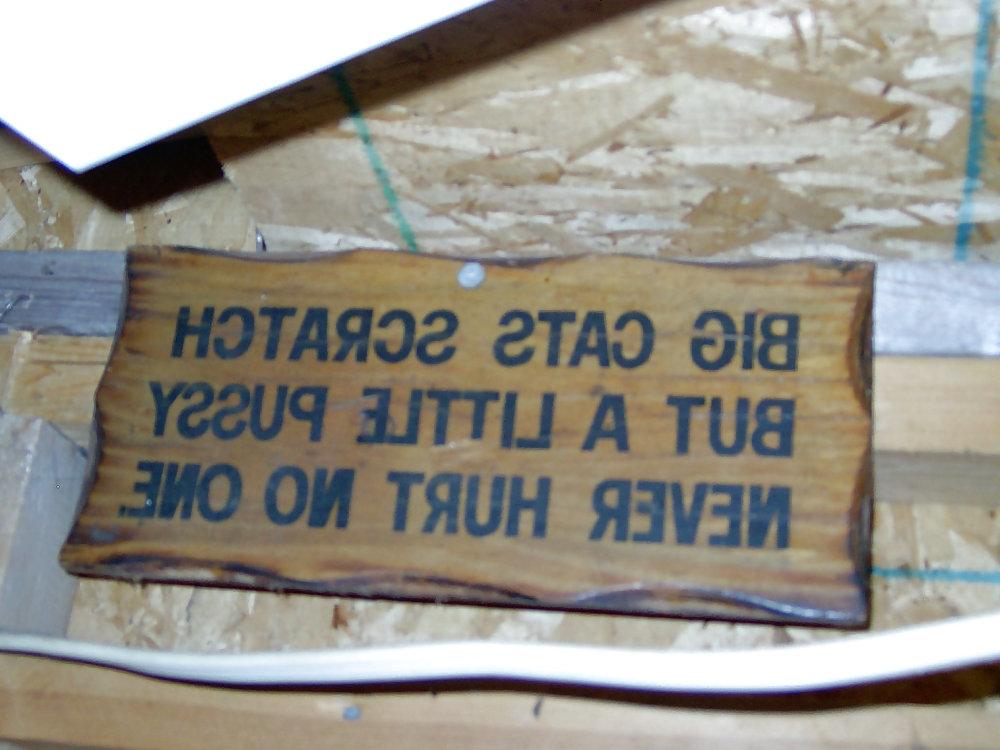 25P Funny signs