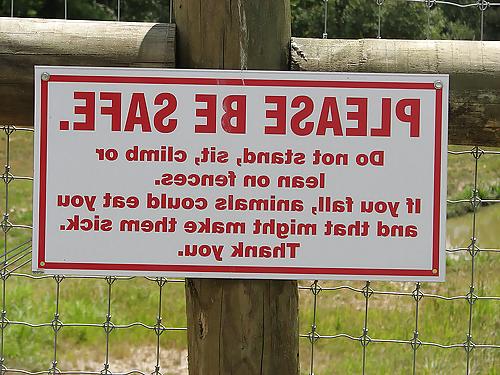 25P Funny signs