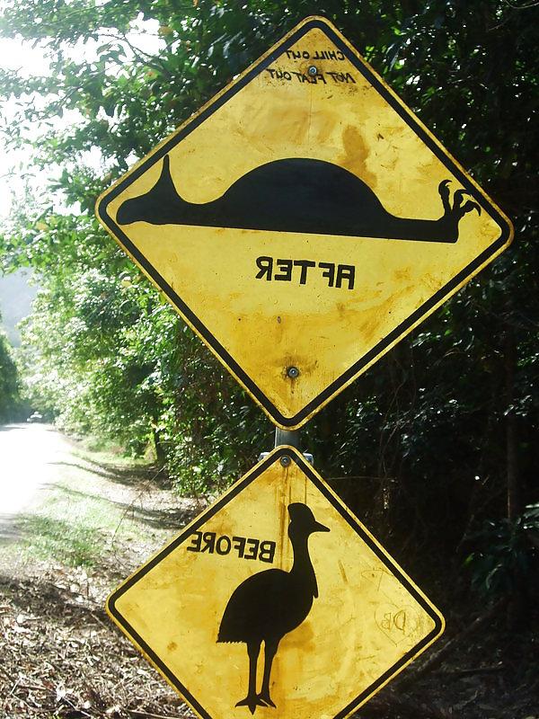 25P Funny signs