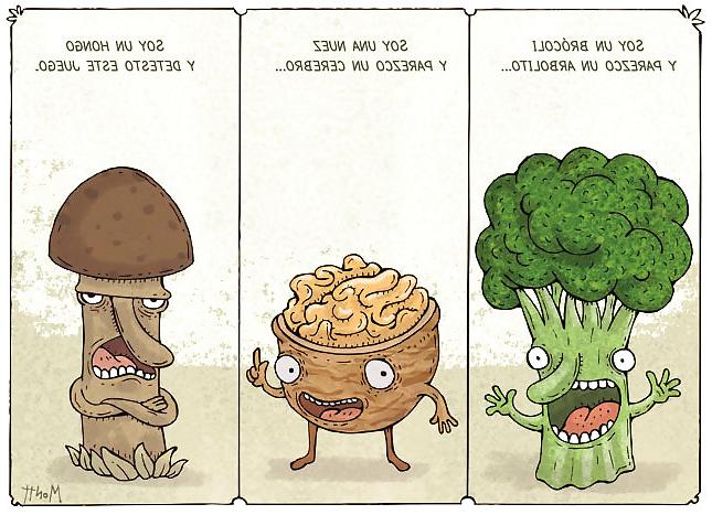 16P Funny Pics II
