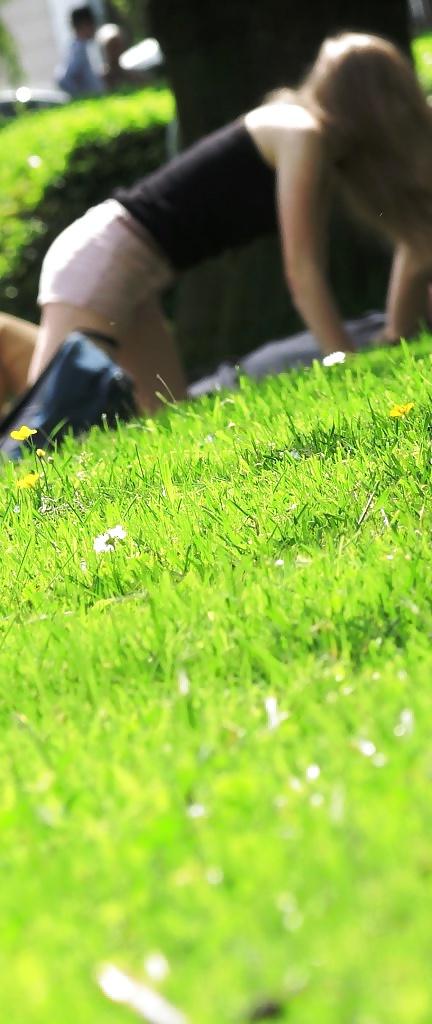 12P Spy at the park