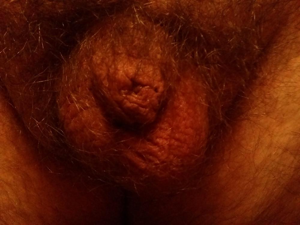 5P Kleiner penis