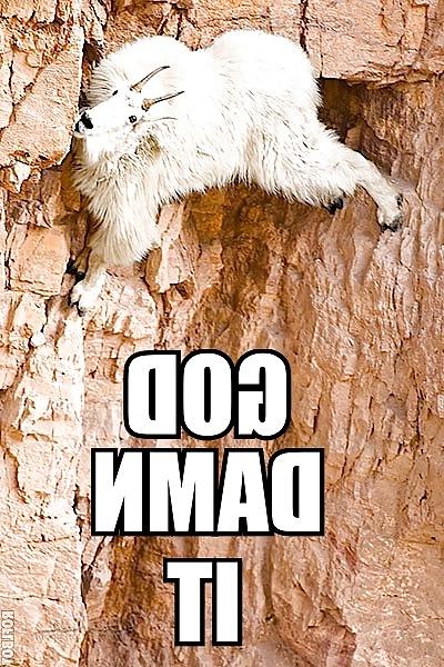 17P Random-Funny or Sexy