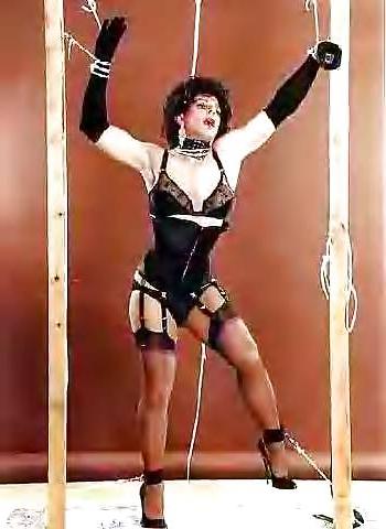 23P More dominated sissies