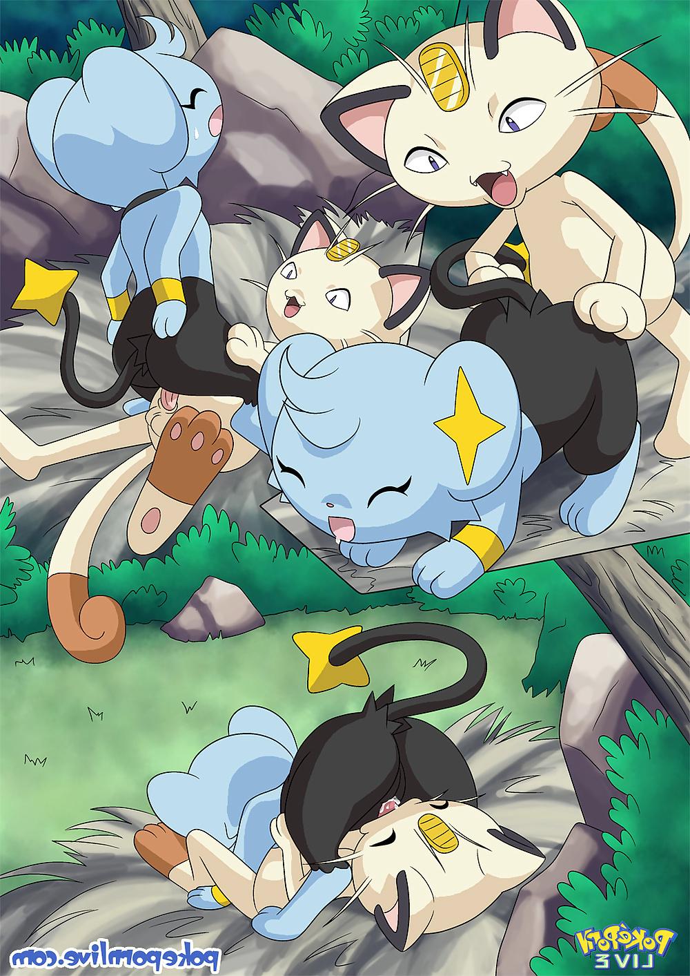 24P Pokeporn Live-The Cat's Meowth