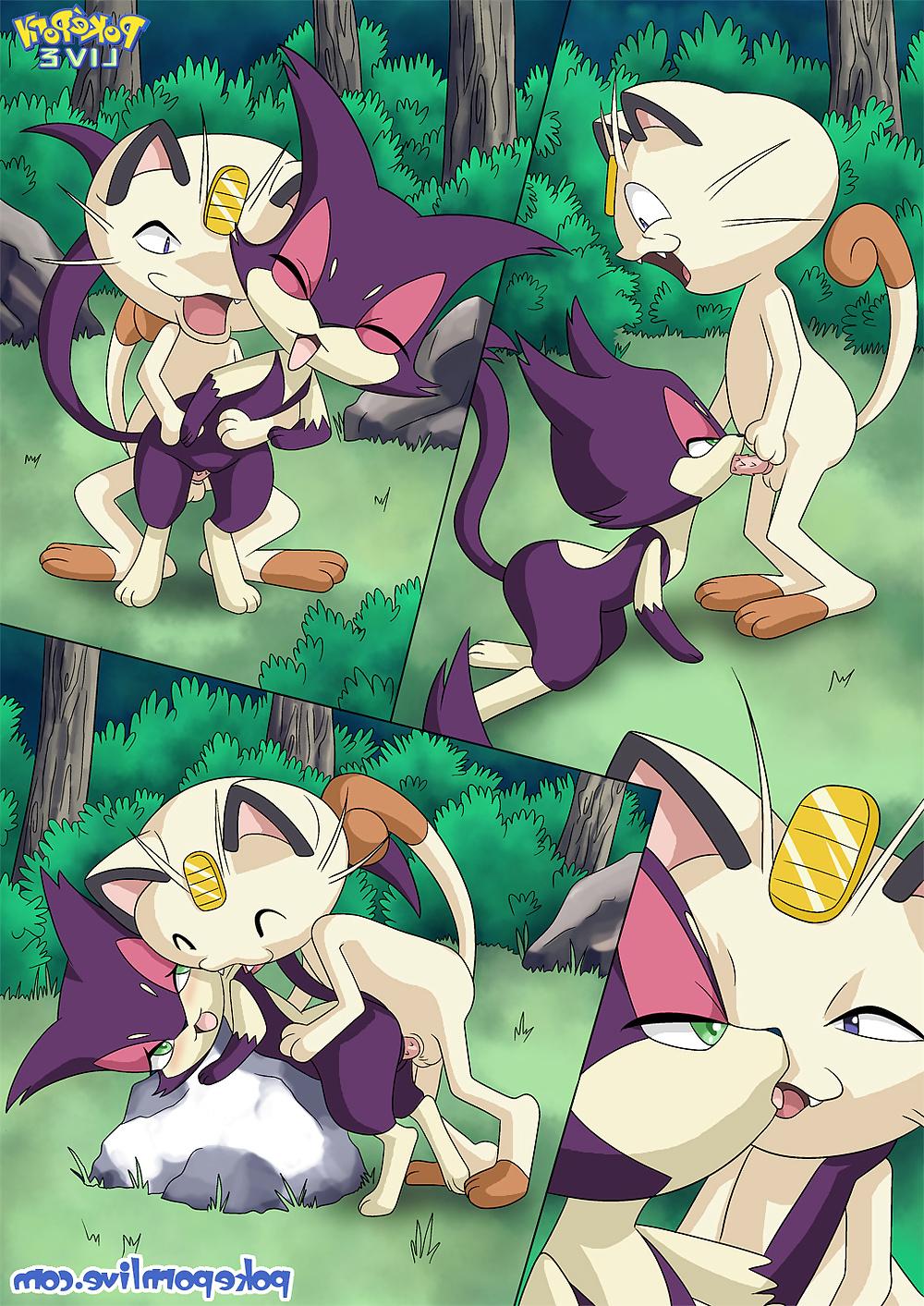 24P Pokeporn Live-The Cat's Meowth